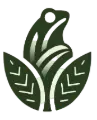 Sagefrog Solutions Inc.