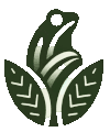 Sagefrog Solutions Inc.